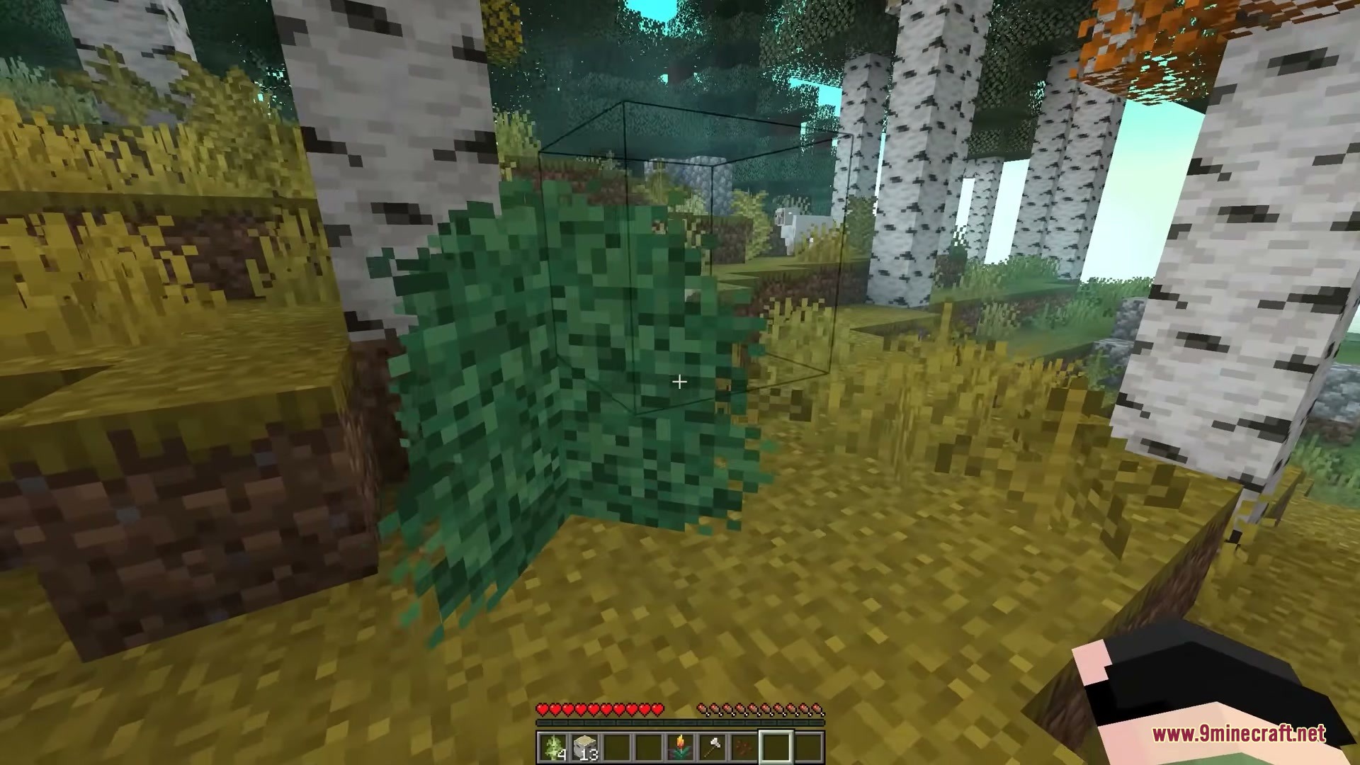 Sizeable Foliage Mod Screenshot 2 A player looking at a large green bush in a birch forest