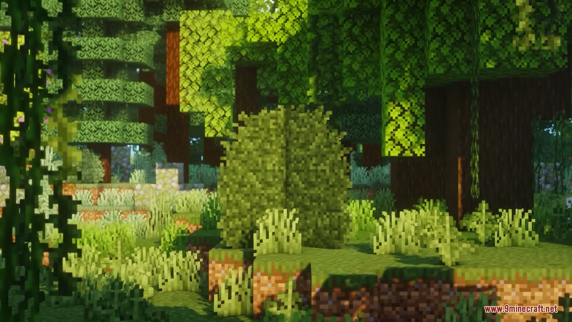 Sizeable Foliage Mod Screenshot 3 A Big Bush block stands in a lush Minecraft forest with tall grass