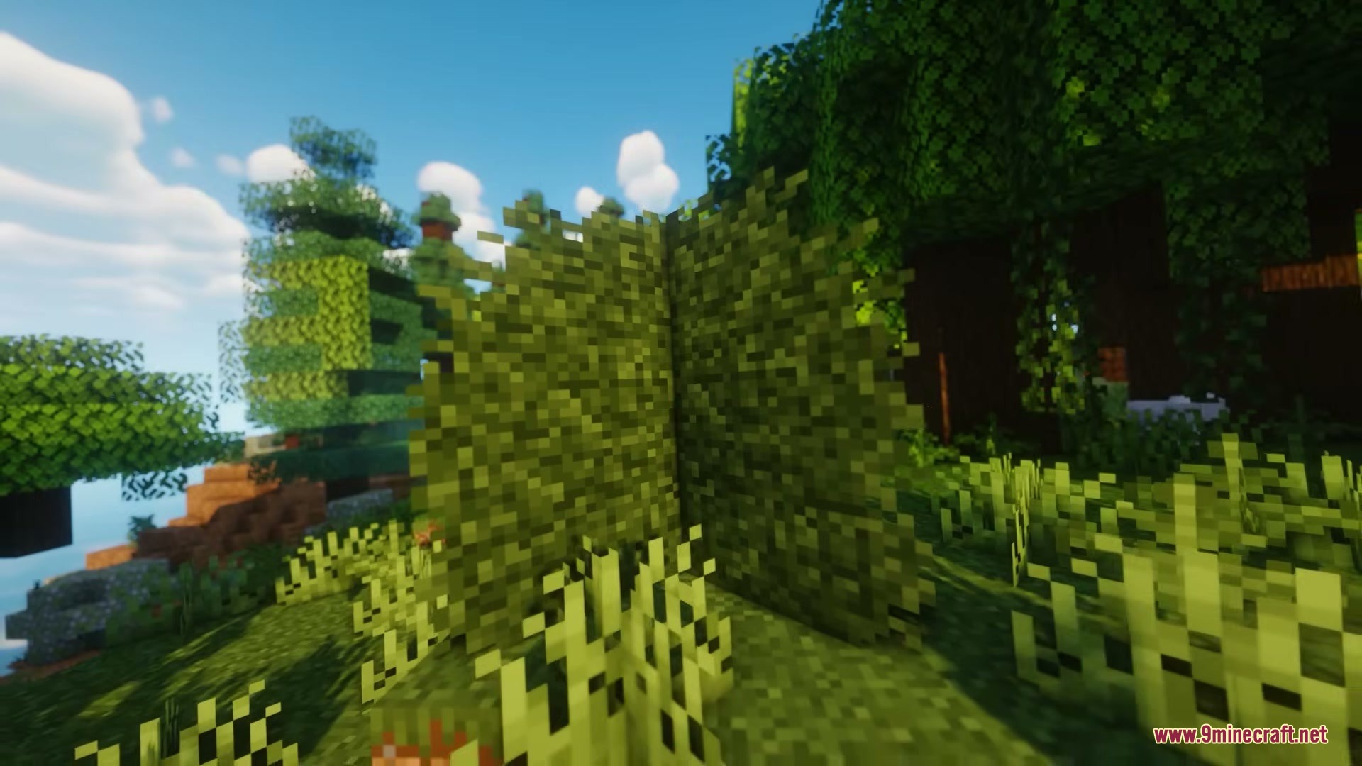 Sizeable Foliage Mod Screenshot 4 Close up view of a Big Bush and tall grass in Minecraft