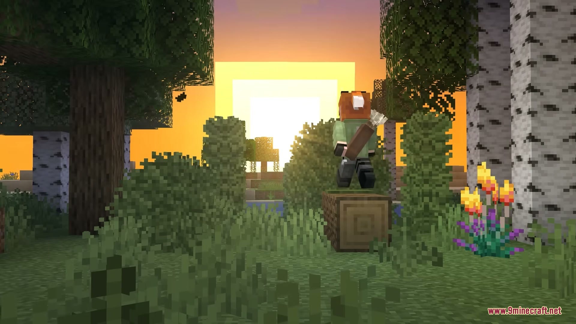 Sizeable Foliage Mod Screenshot 5 A Minecraft player standing on a log surrounded by large bushes at sunset