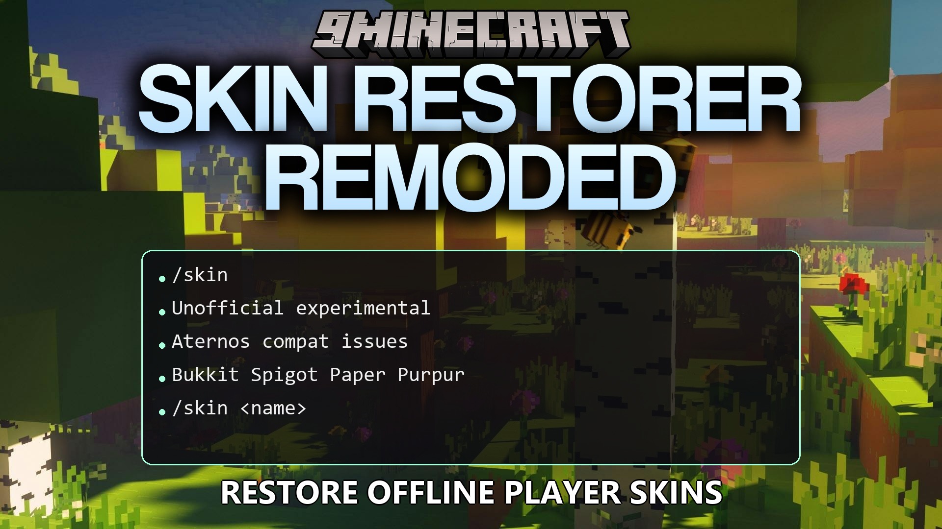 Skin Restorer Remoded Plugin