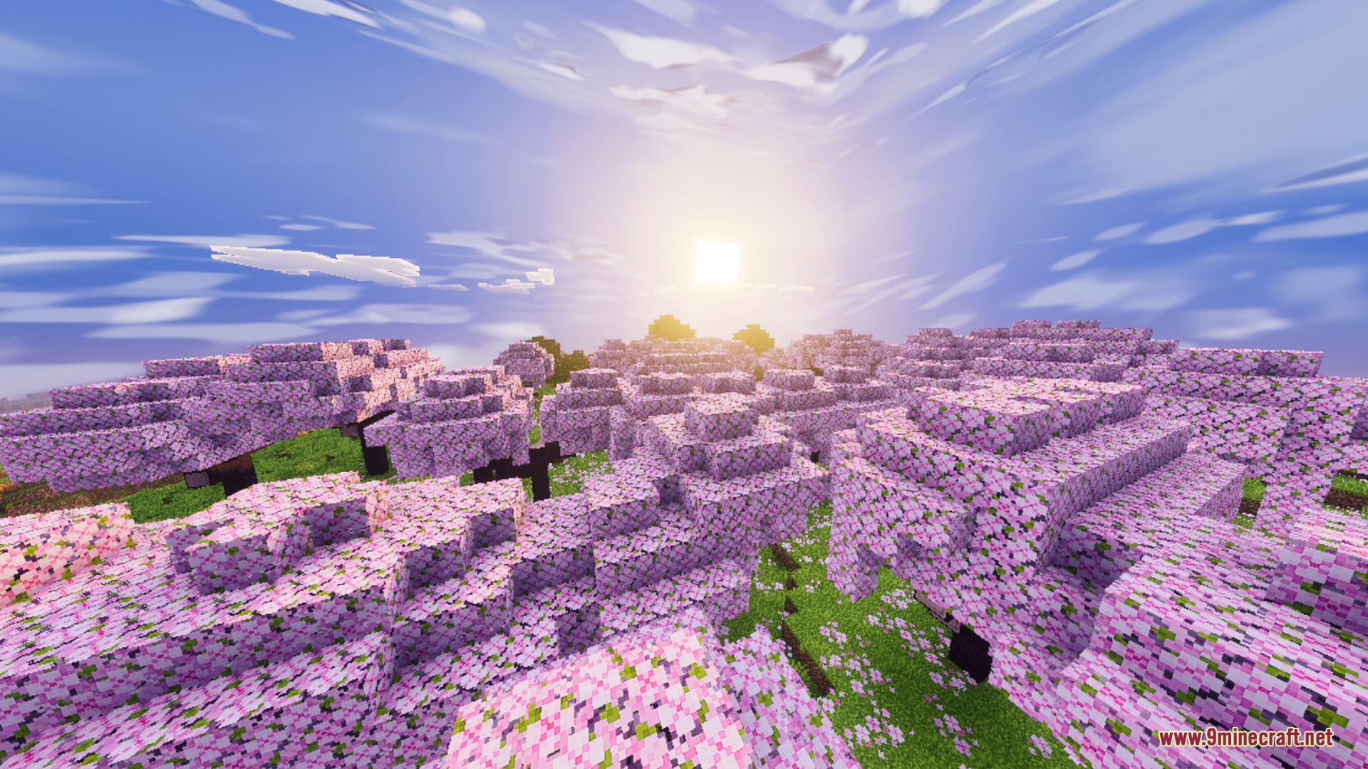 Skyfall Visuals Shader Screenshot 2 Vibrant cherry blossom biome with pink trees and petals on the ground