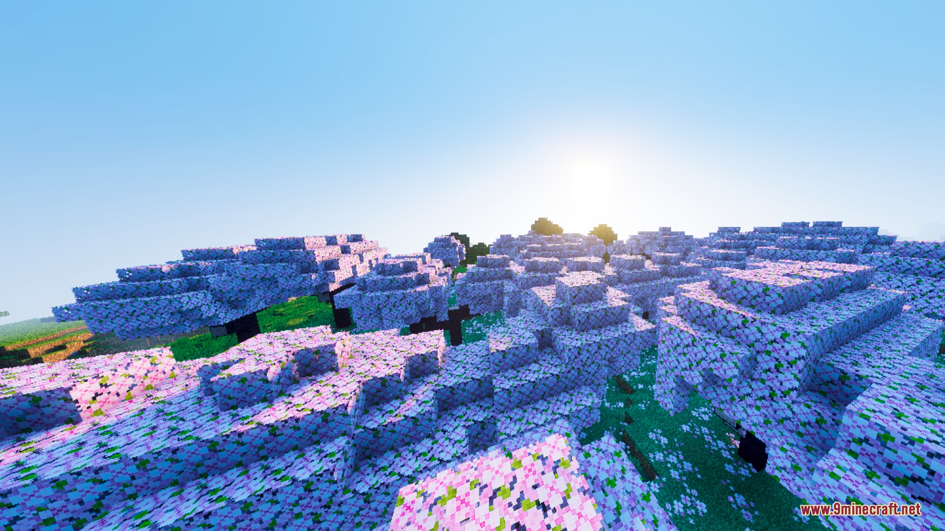 Skylix Visuals Shader Screenshot 1 A vast forest of cherry blossom trees under a bright morning sun