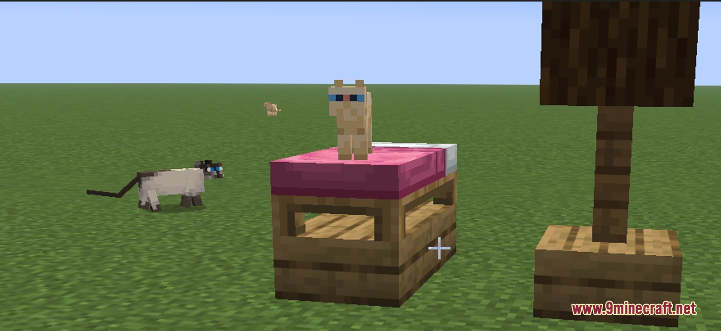 Slabbed Mod Screenshot 7 A Siamese cat sitting on a pink bed resting on wooden slabs