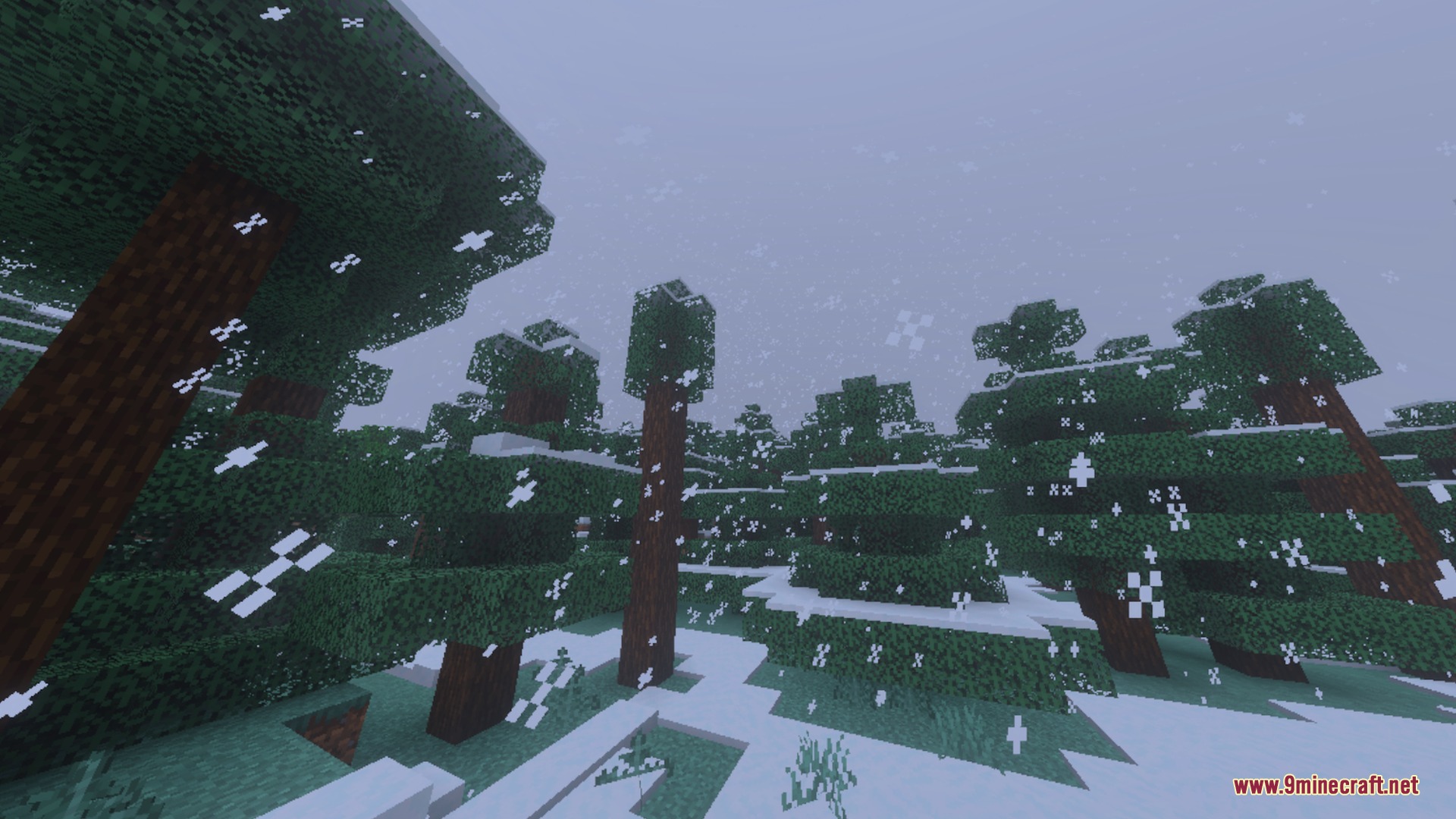 Spruce trees covered in snow during a winter snowfall in a Minecraft forest