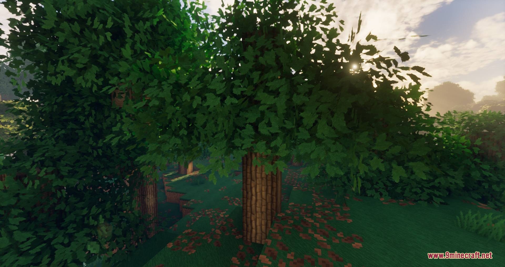 Soartex Fantastik Resource Pack Screenshot 6 Lush forest with bushy leaves and realistic sunlight shining through the tree branches
