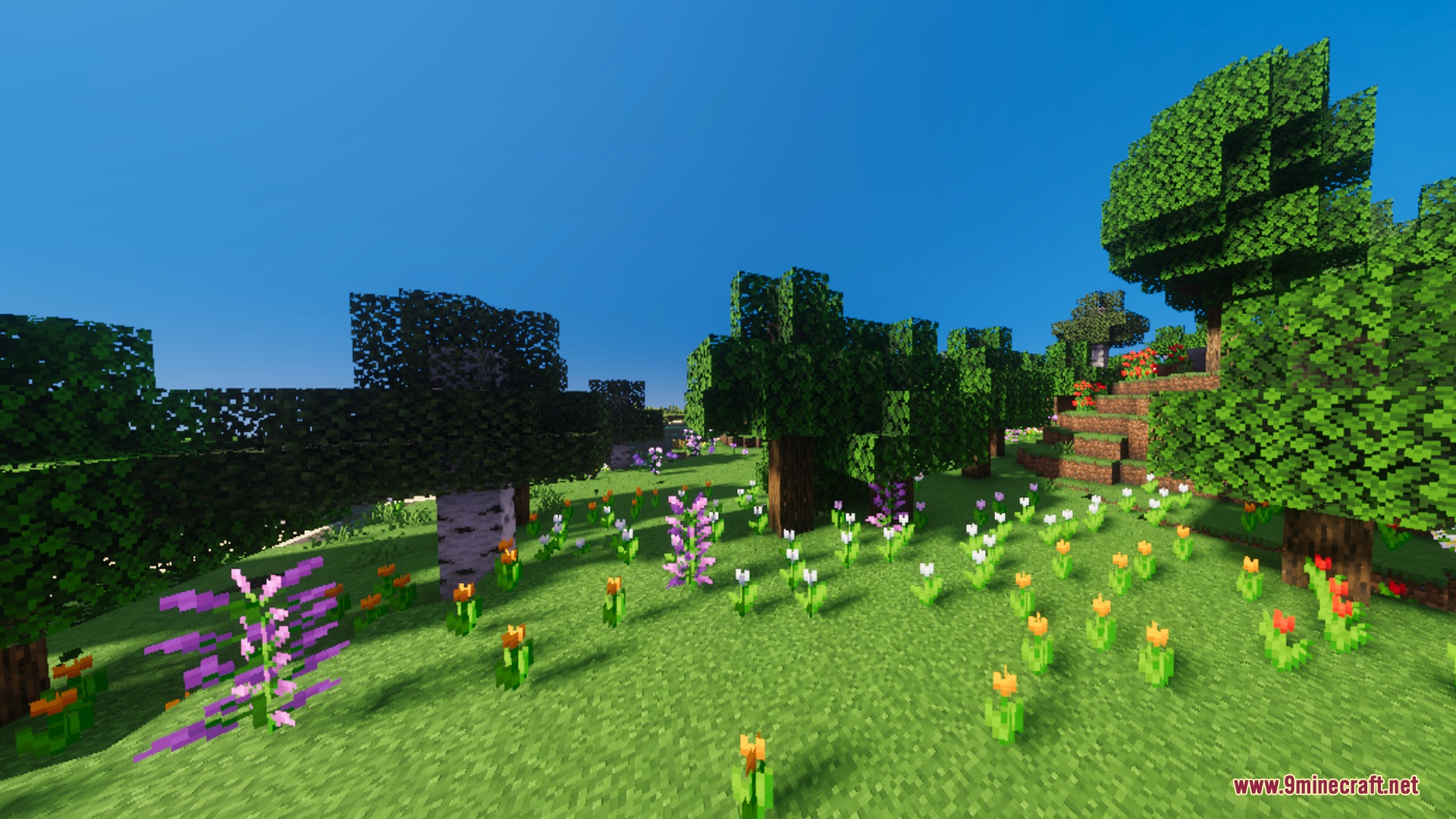 Solaris Visuals Shader Screenshot 9 Bright plains meadow featuring colorful flowers and soft clouds in a clear sky