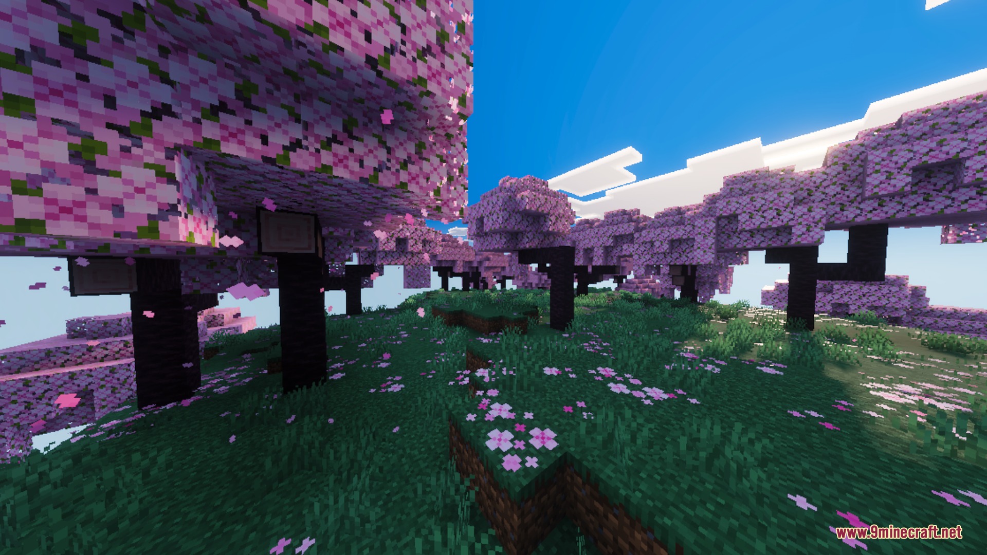 Solumn Visuals Shader Screenshot 6 Vibrant cherry blossom trees with pink leaves and falling petals on green grass