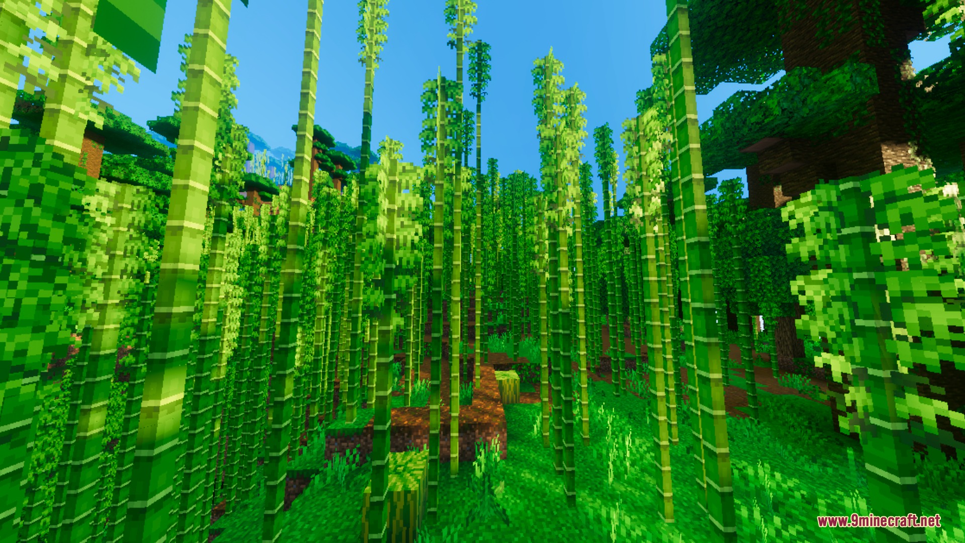 Solumn Visuals Shader Screenshot 8 Vibrant green bamboo stalks growing in a dense jungle with cinematic lighting