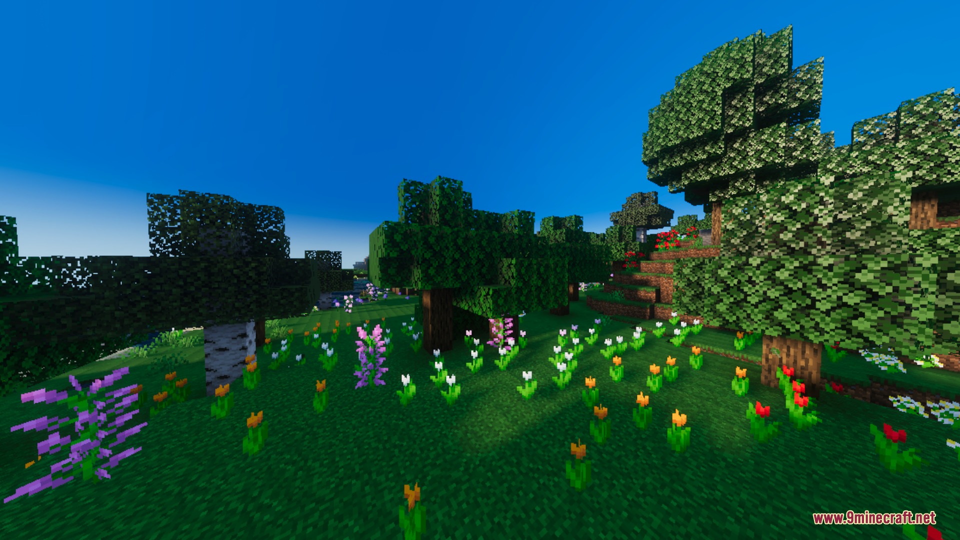 Solumn Visuals Shader Screenshot 9 Colorful flowers bloom in a lush green meadow under a bright blue sky