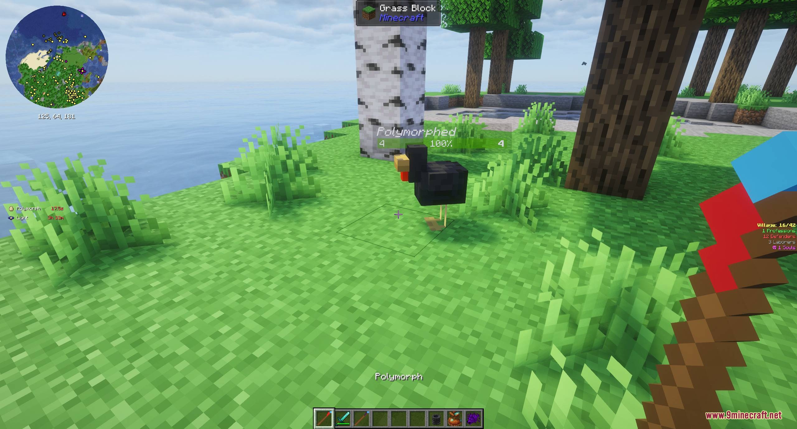 Spells & Spellcrafting Mod Screenshot 3 Player uses a magic wand to polymorph a mob into a black chicken