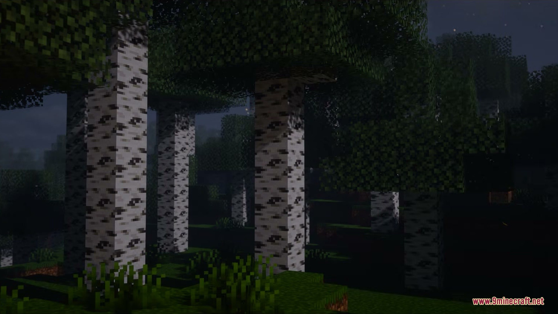 A dark birch forest at night featuring tree trunks with eerie animated eyes
