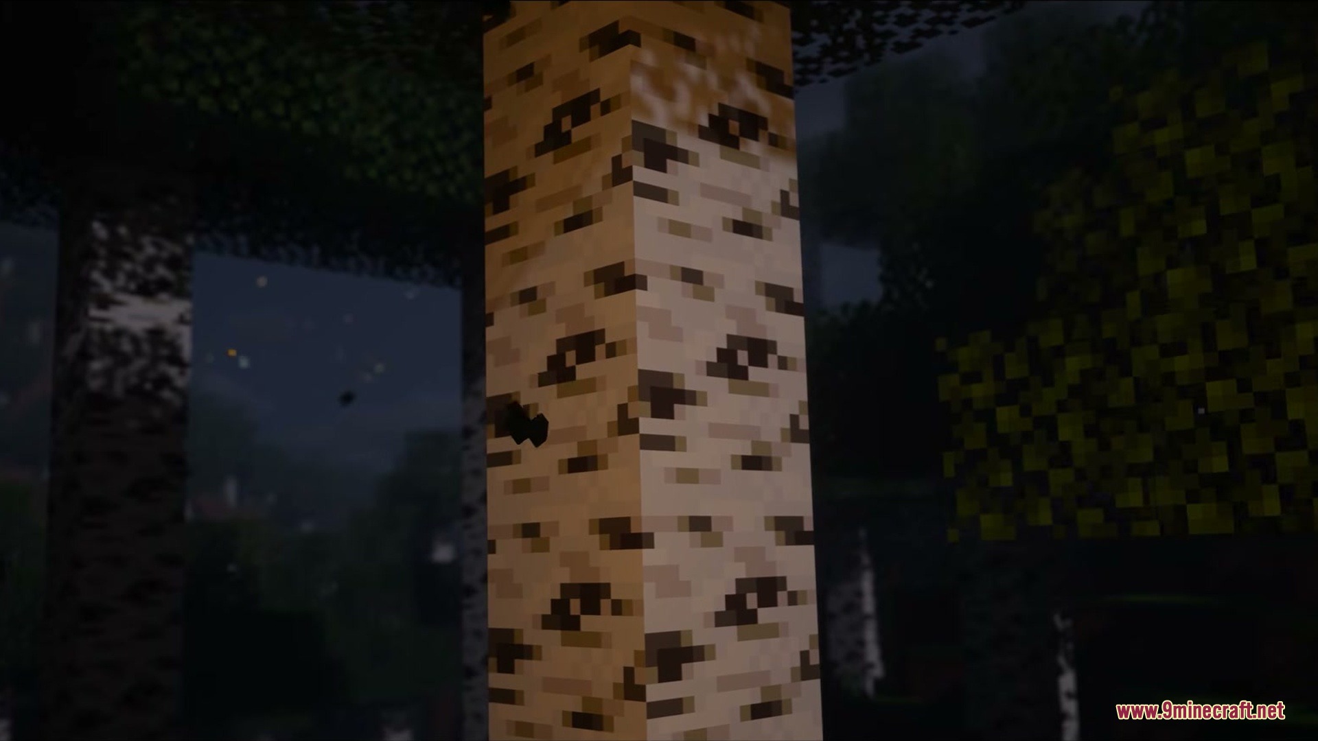 Close up of birch logs where natural bark patterns turn into blinking eyes