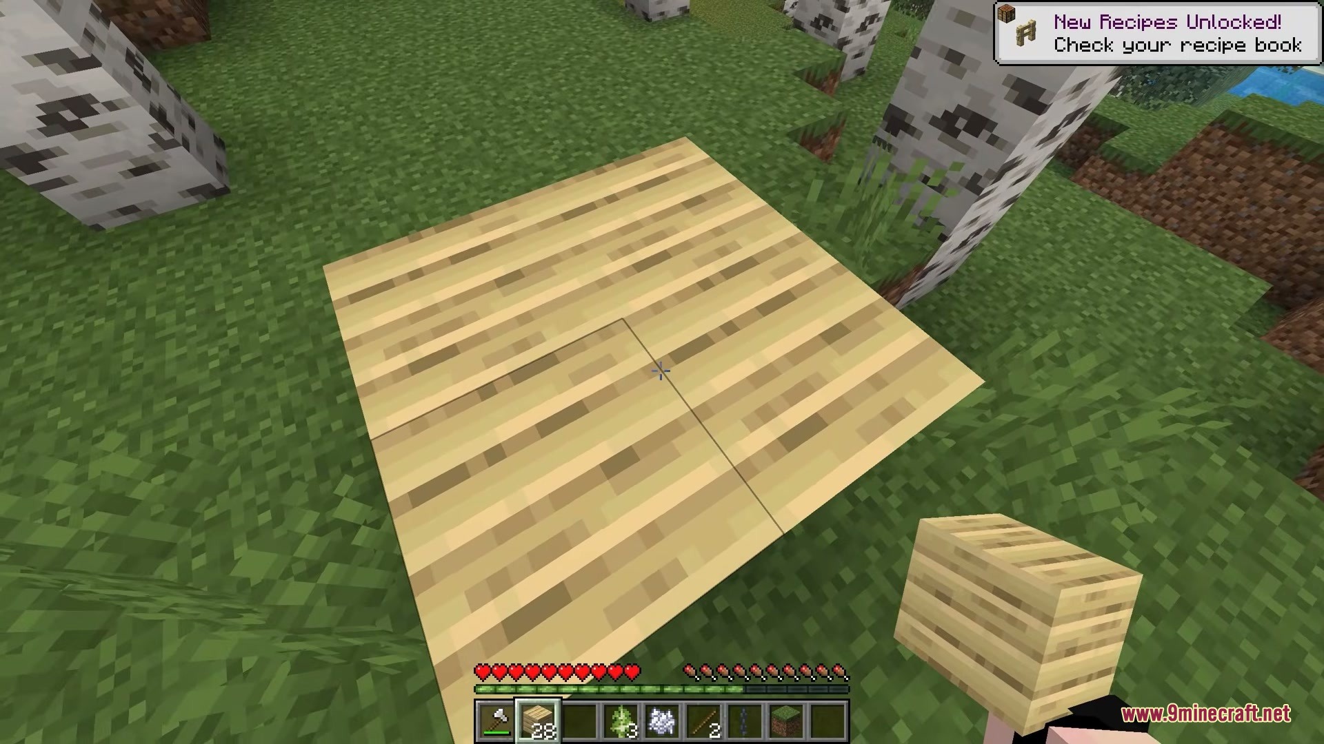 Placing birch wood planks on the grass while unlocking new crafting recipes