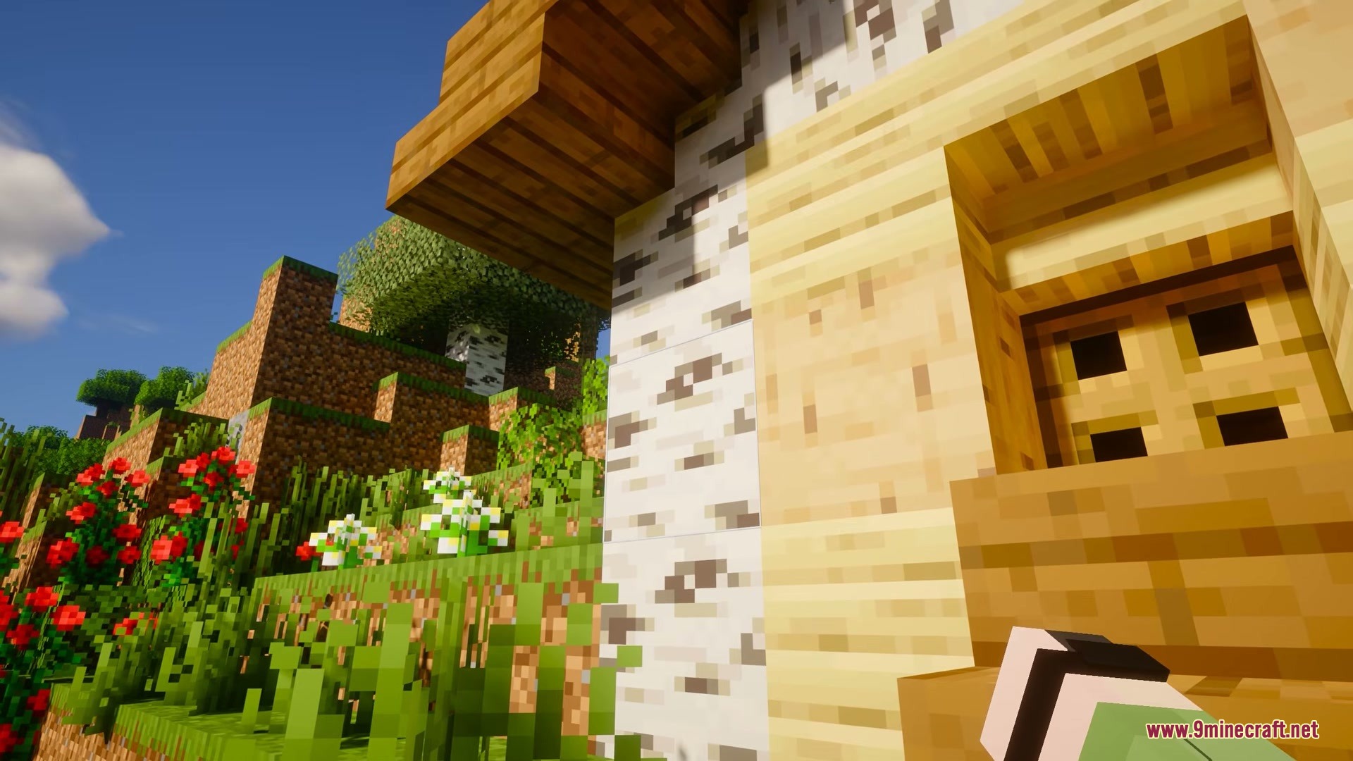 Close up of birch logs with creepy eyes watching the player