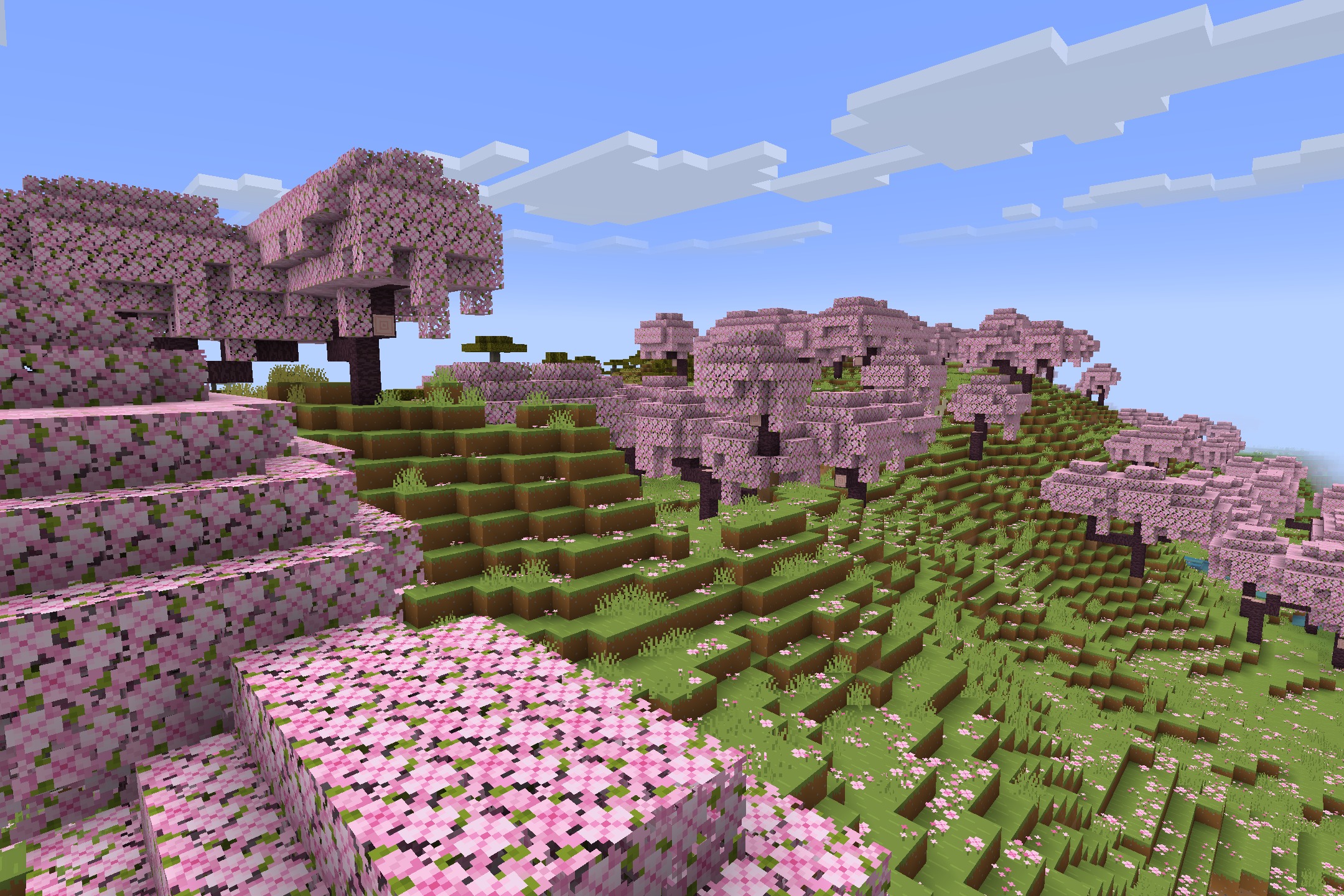 Starboyz2743 PvP Pack Resource Pack Screenshot 1 A scenic cherry grove biome featuring pink trees and flower petals on grass