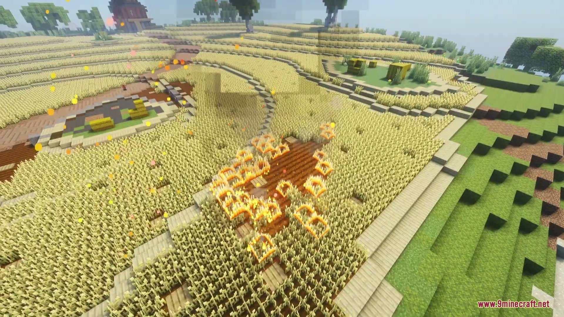 Embers fly across a large wheat field as small fires begin to spread