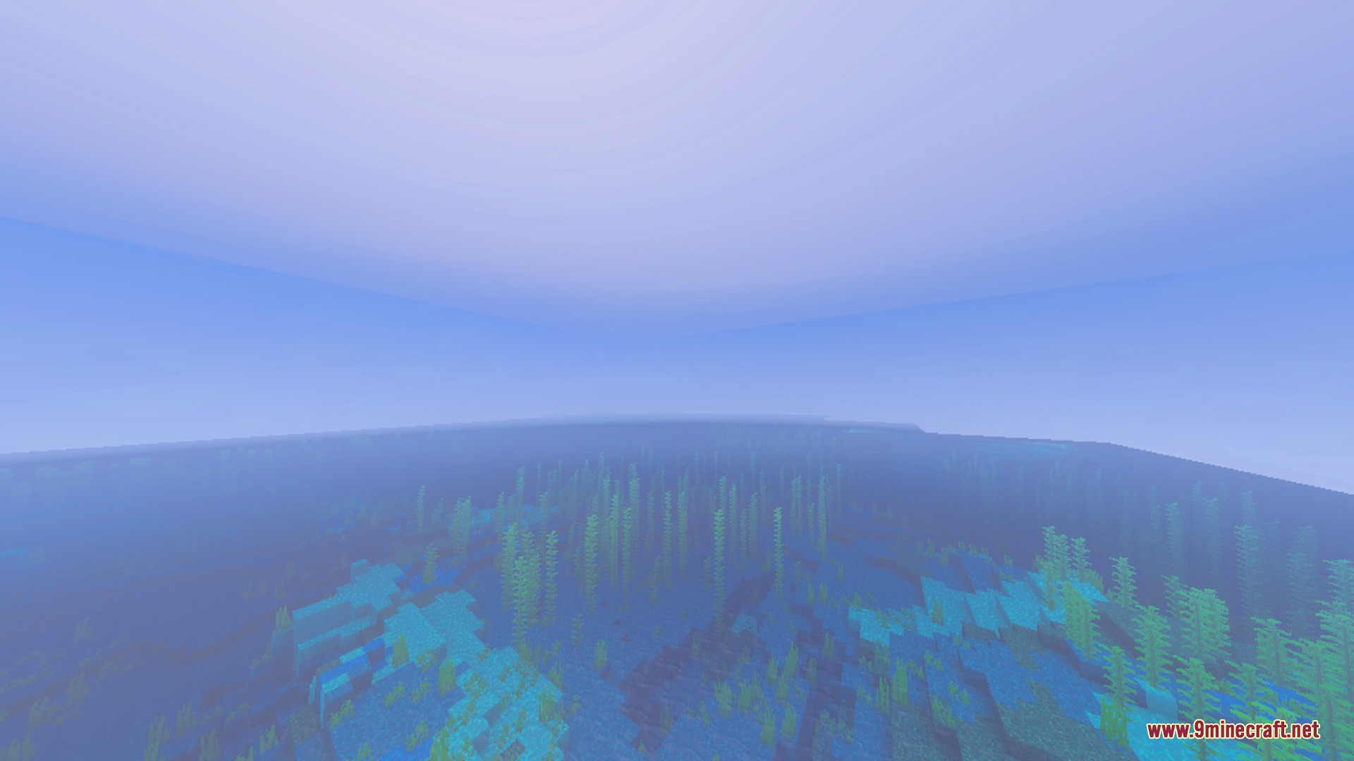 Deep blue underwater view of a dense kelp forest with soft lighting