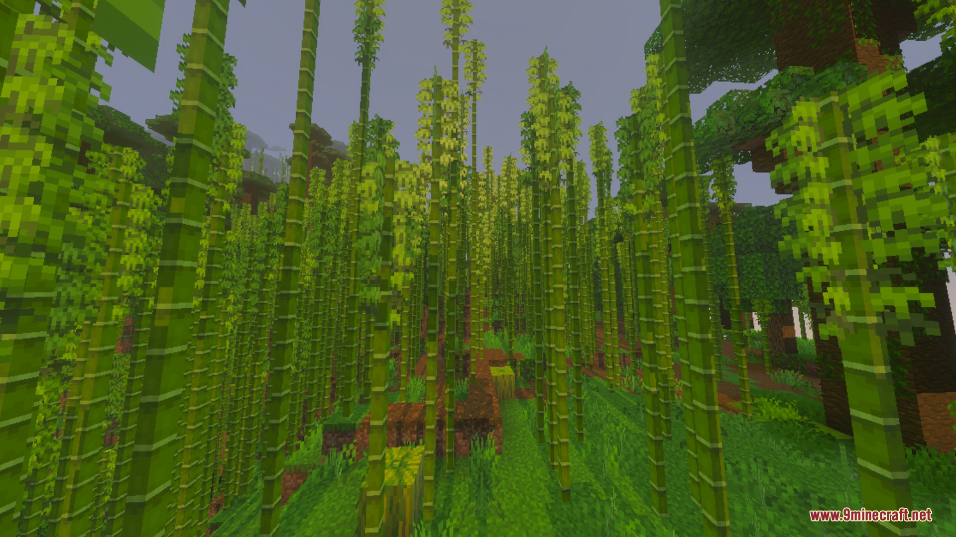 Lush bamboo forest with tall green stalks and bright natural lighting in Minecraft
