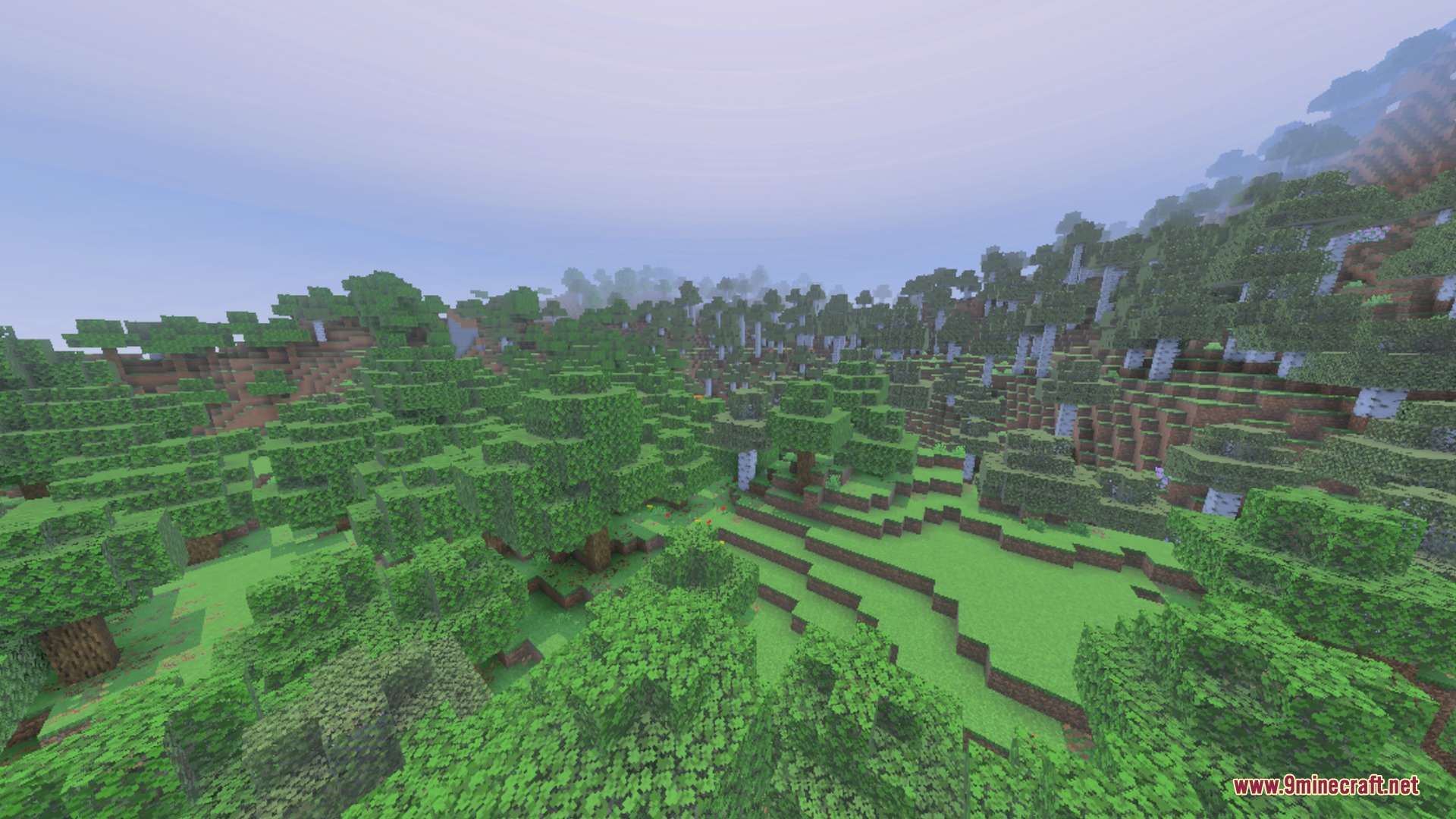 Dense green forest with oak trees and birch trees under clear skies