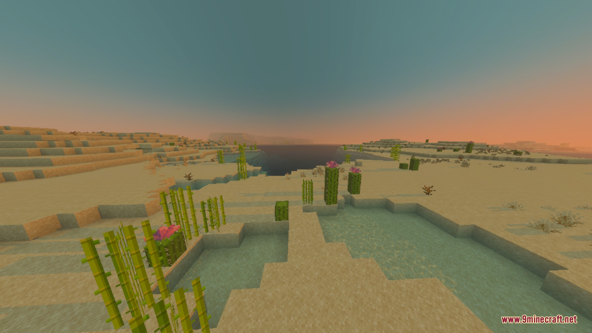 Desert landscape with sugar cane and cacti under a warm orange sunset sky