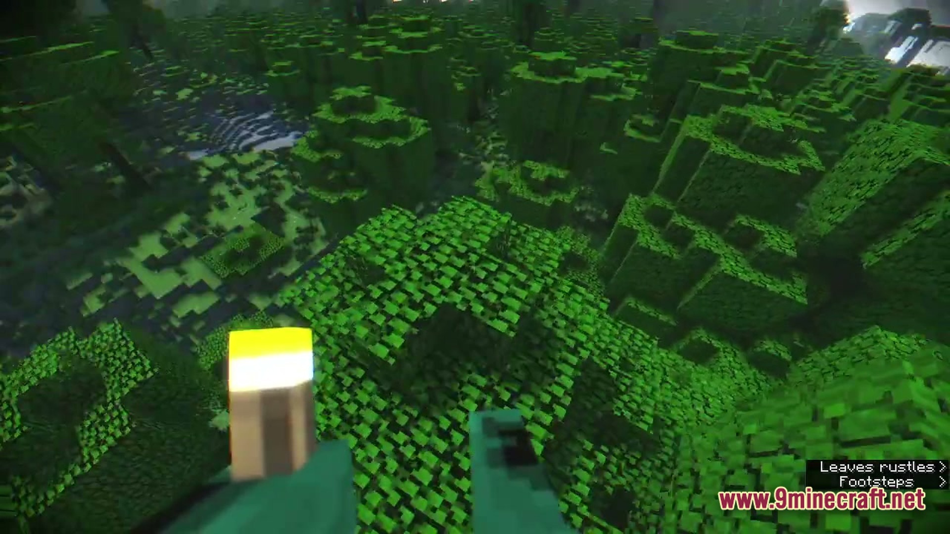 A first-person view of a player holding a torch while overlooking a dense green forest biome