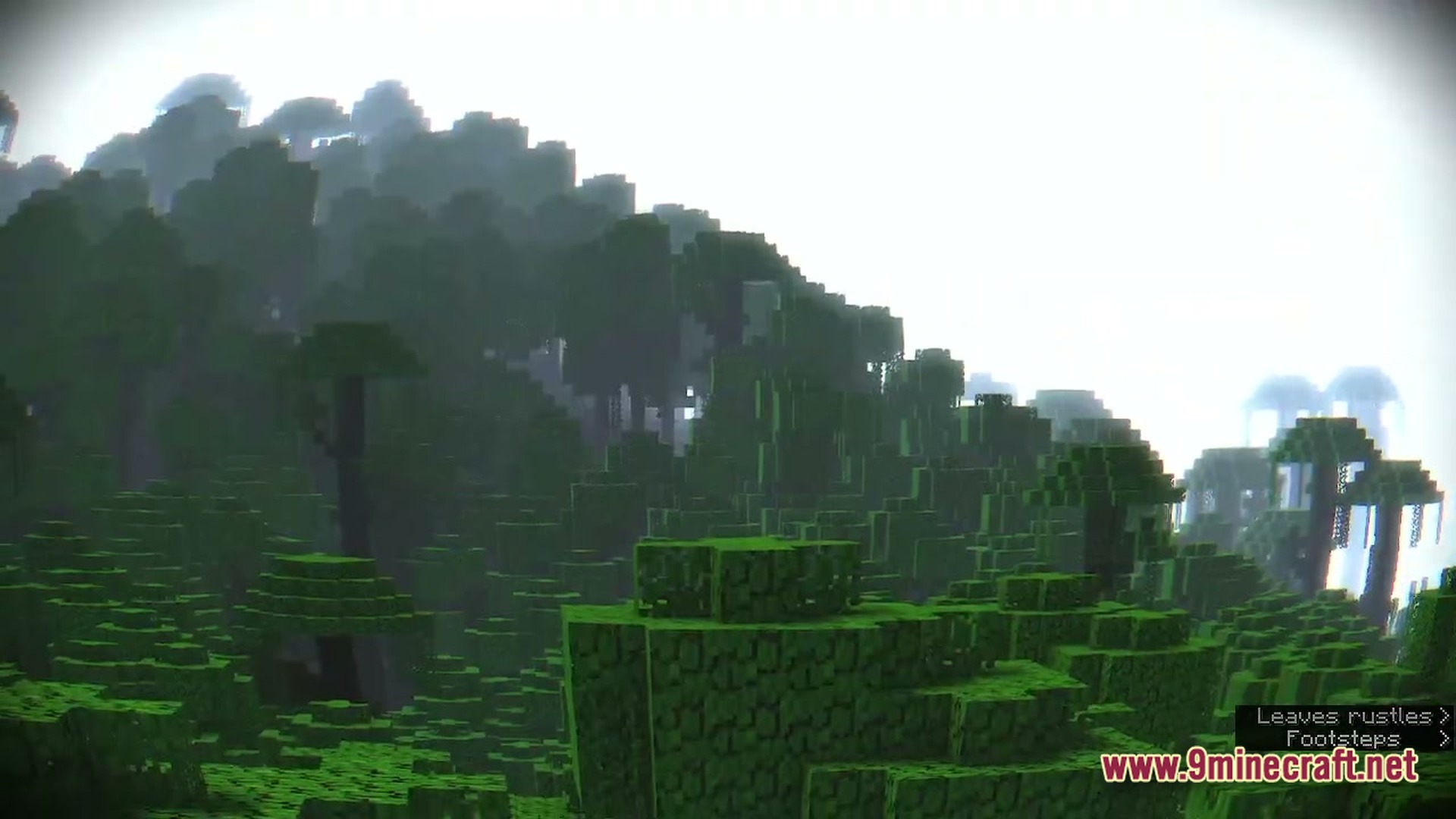 A dense jungle biome under a bright sky with a fisheye lens and vignette effect