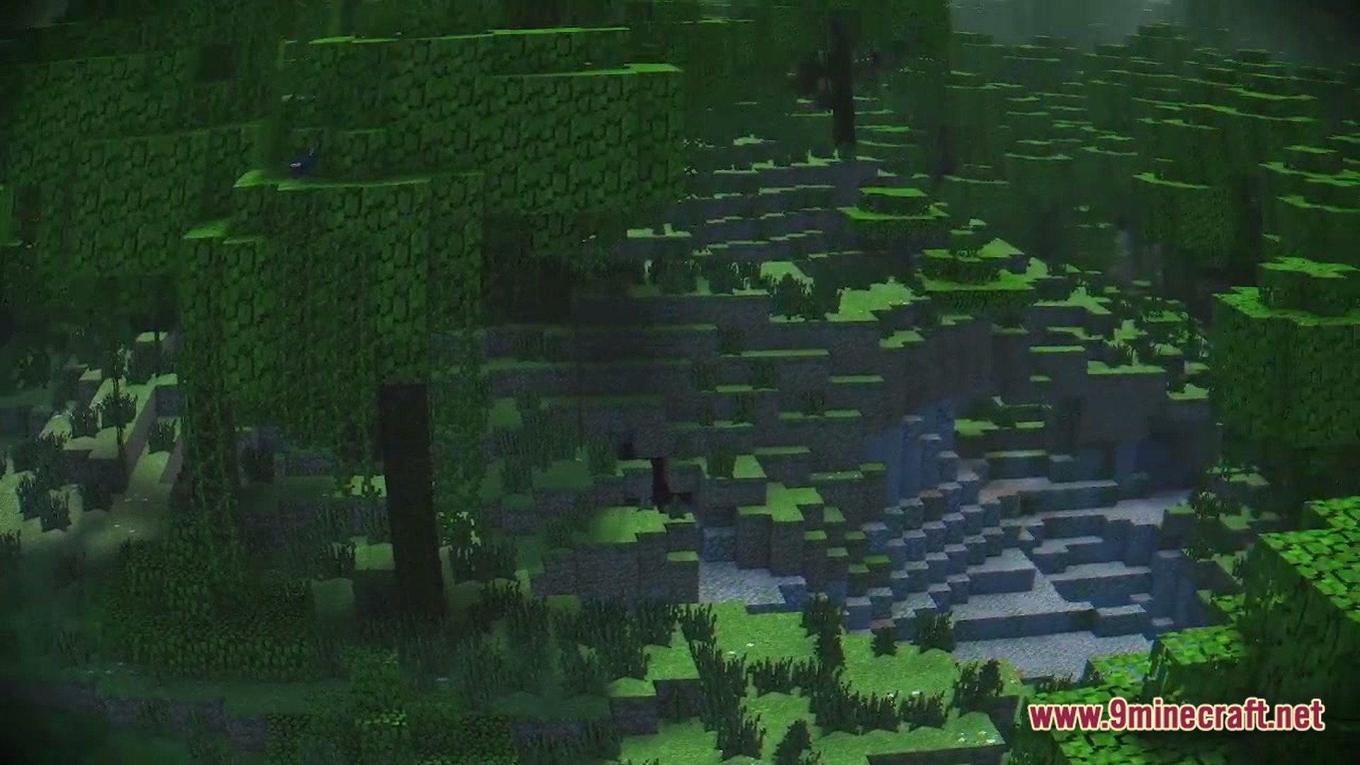 A dense green forest biome with hilly terrain and a small body of water in Minecraft