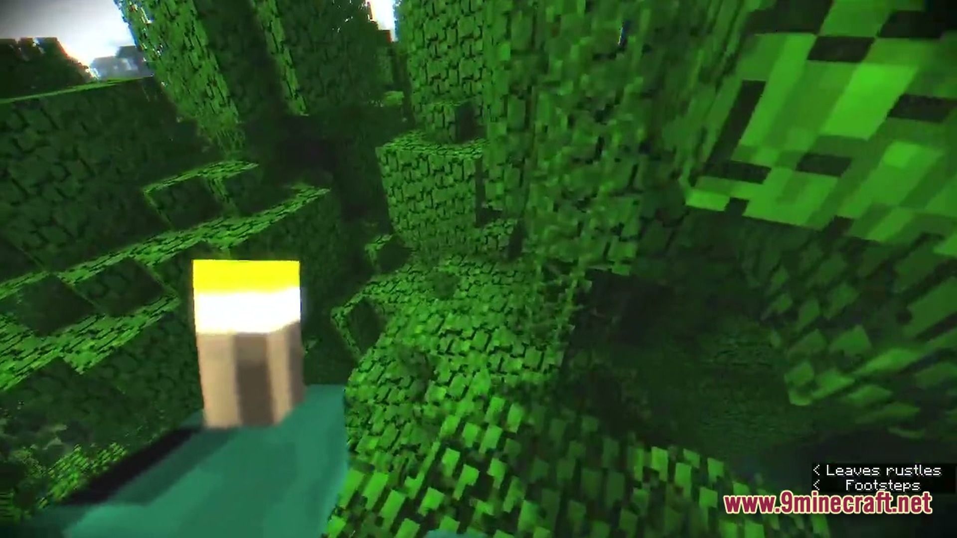 A first-person view of a player holding a torch while navigating through a dense green forest