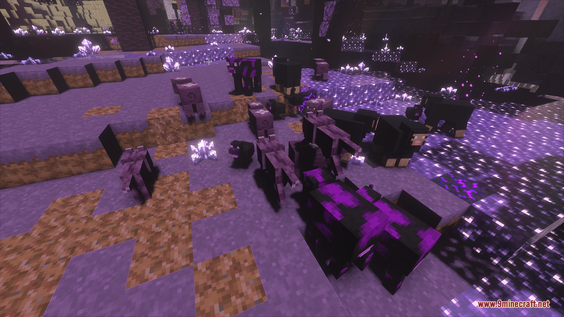 Unique End mobs and peaceful animals grazing in a vibrant amethyst forest biome