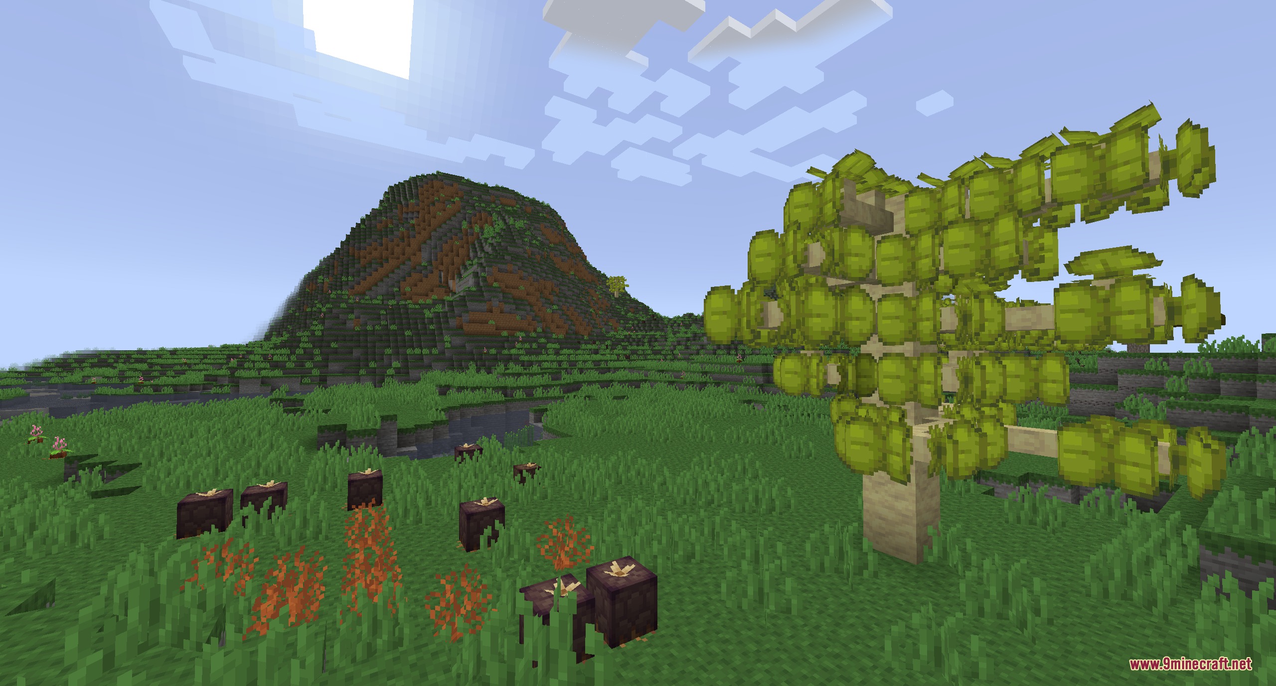 Stormward Mod Screenshot 4 Exotic crops and a strange tree grow in the green Shattered Plains biome