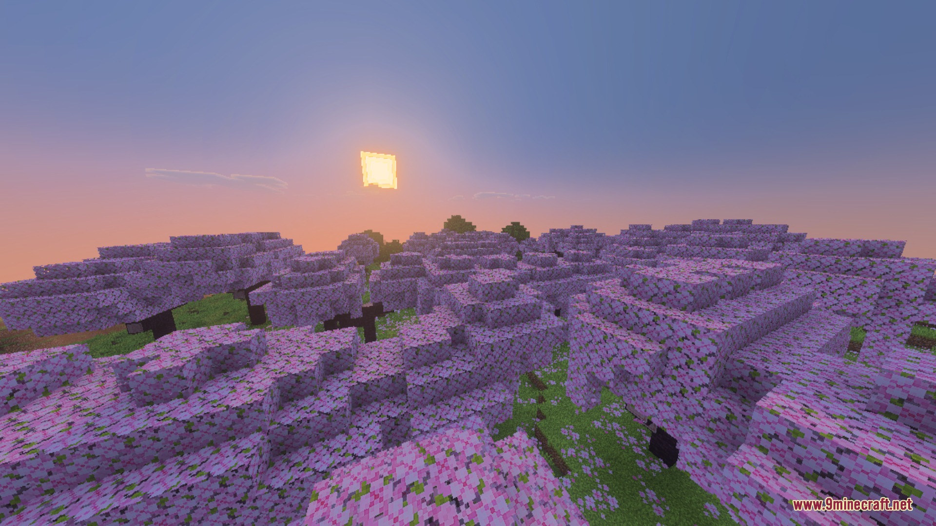 Stylista - Vibrant Visuals & RTX Shader Screenshot 2 A beautiful cherry blossom forest with pink trees under a warm sunset sky