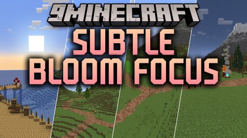 Subtle Bloom Focus Shaders