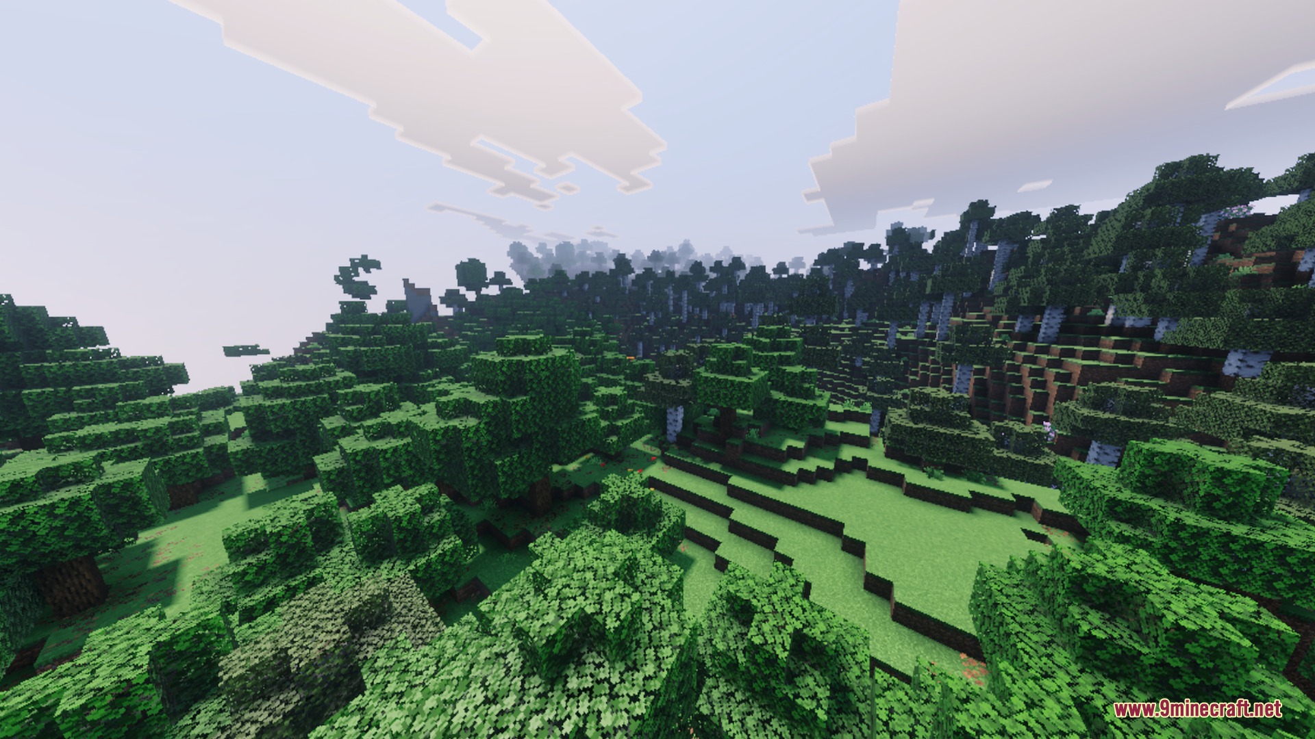 Summerset Visuals Shader Screenshot 6 A lush green forest with various trees under a bright summer sky
