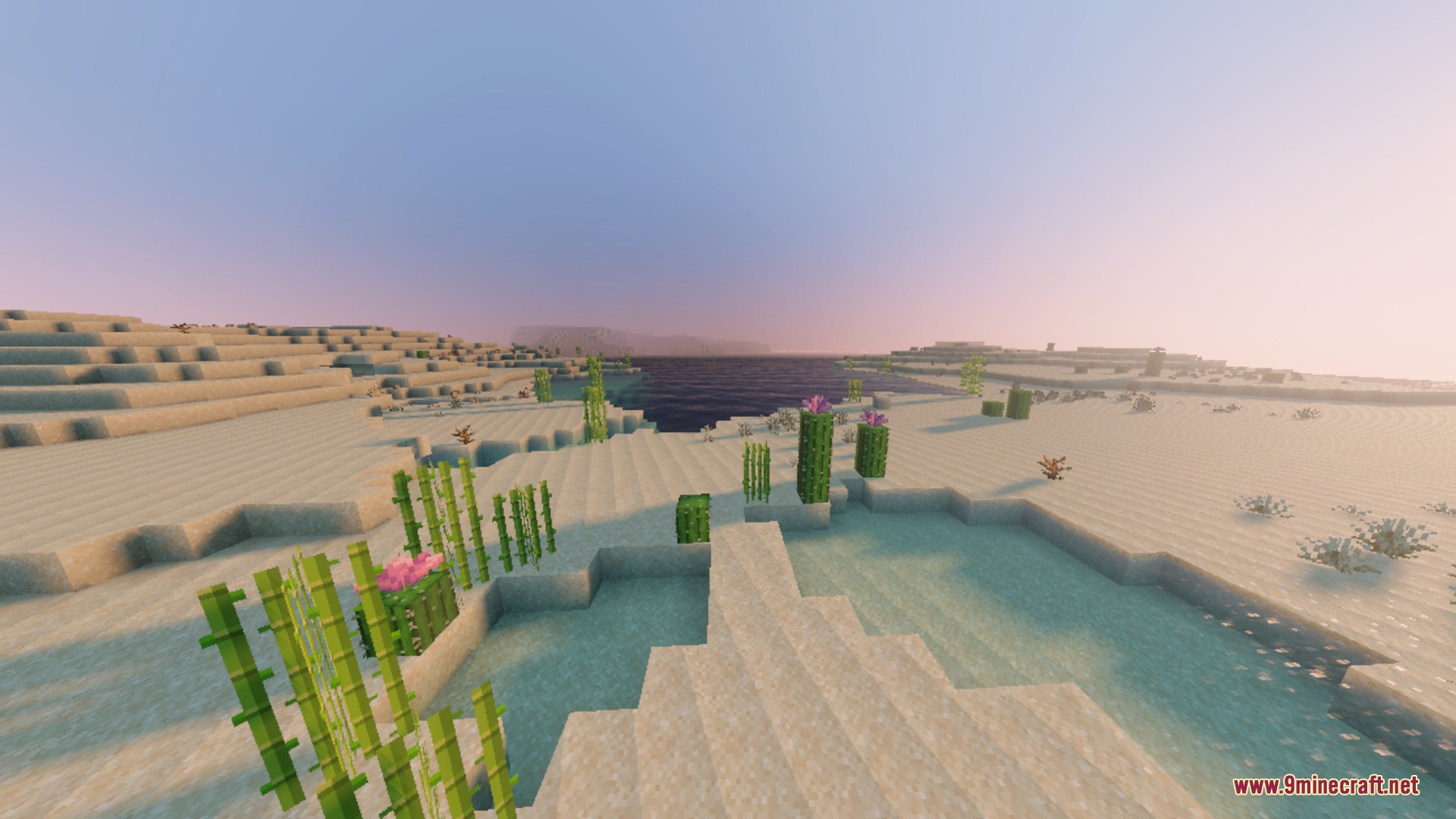 Summerset Visuals Shader Screenshot 8 Desert landscape featuring flowering cacti and sugar cane under a warm sunset sky