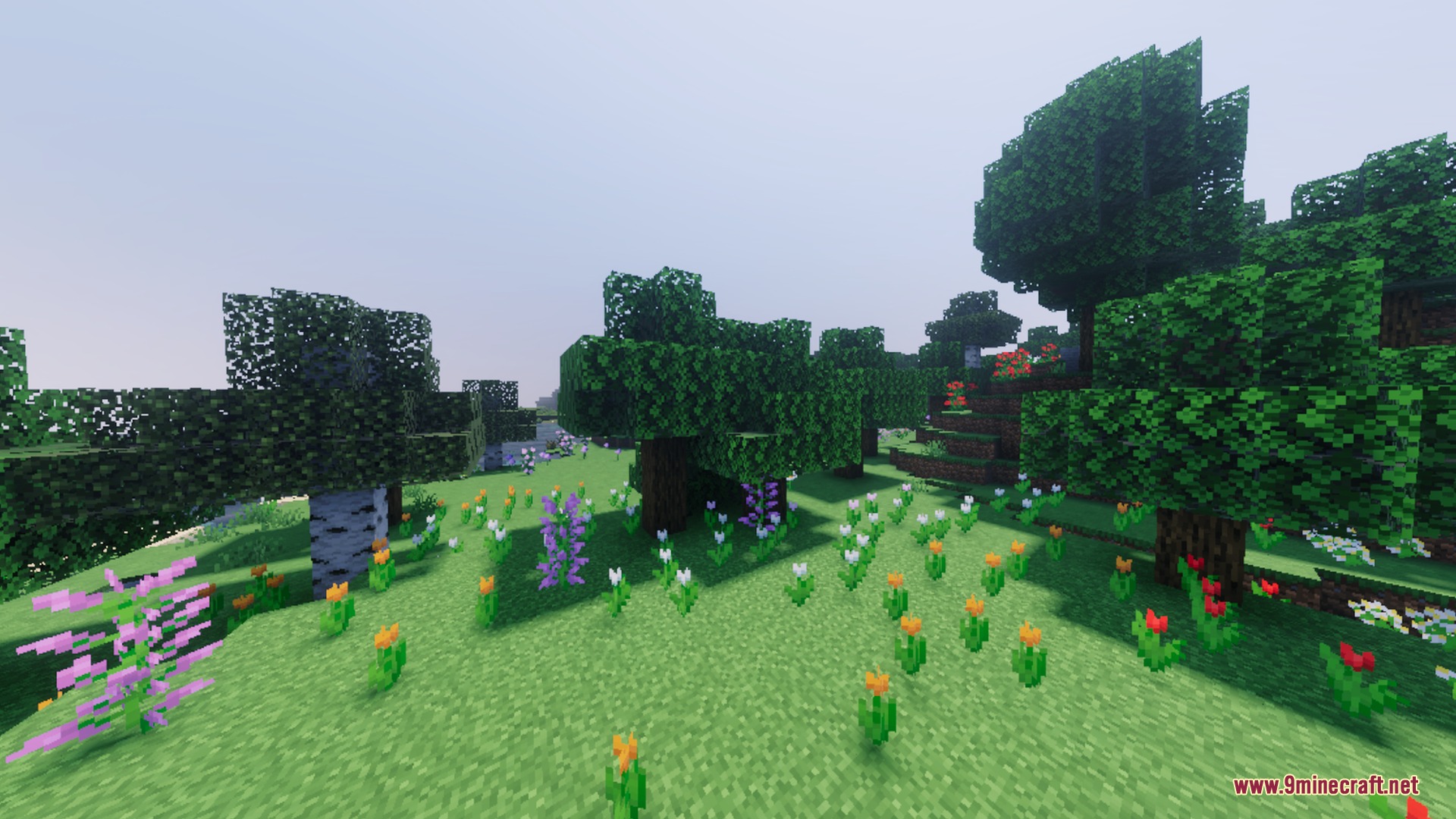 Summerset Visuals Shader Screenshot 9 A lush green meadow filled with colorful flowers under a bright clear sky