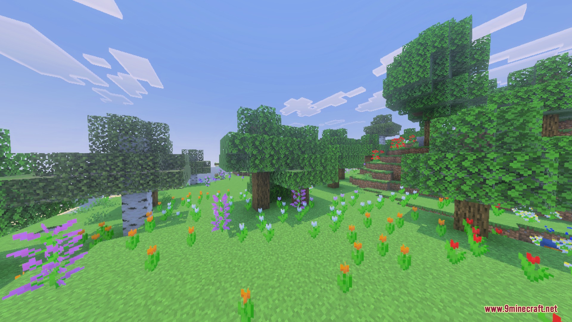 Sun & Moon Path Shader Screenshot 10 Vibrant flowers bloom in a grassy field under a bright clear sky