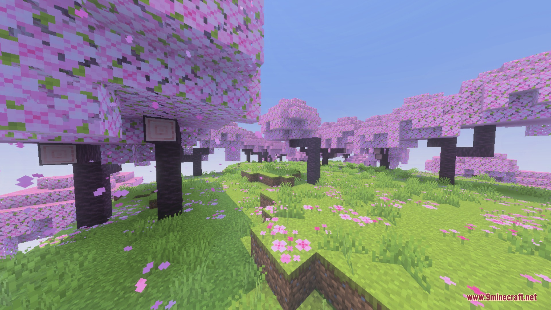 Sun & Moon Path Shader Screenshot 5 A cherry grove biome featuring pink trees and falling petals on grass