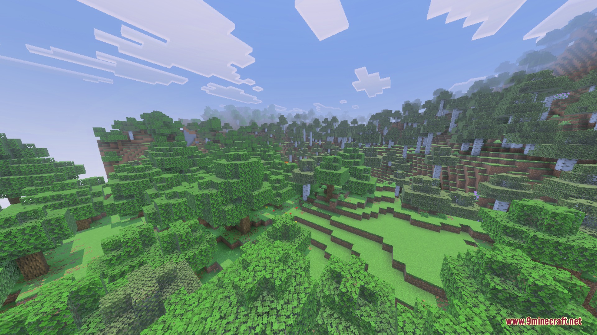 Sun & Moon Path Shader Screenshot 6 Lush green forest with oak and birch trees under a clear sky