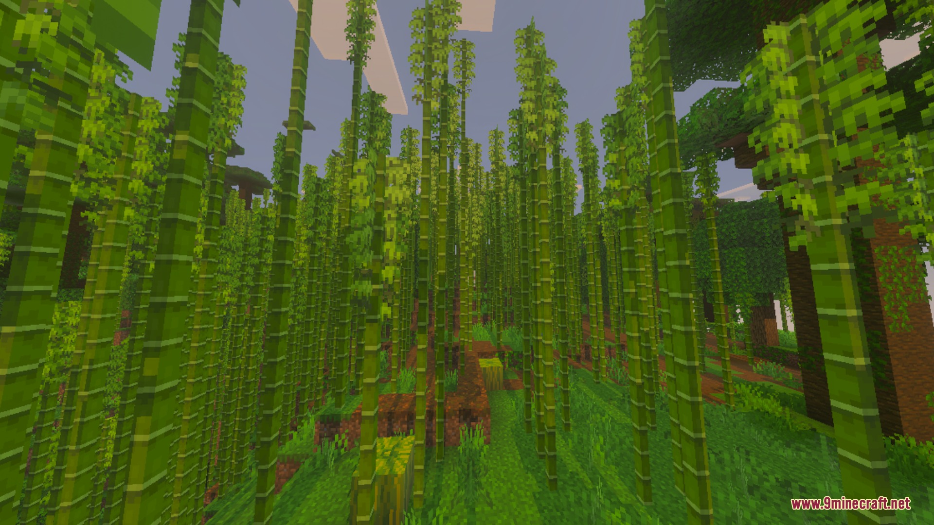 Sun & Moon Path Shader Screenshot 9 A dense bamboo forest with tall stalks and lush green leaves overhead