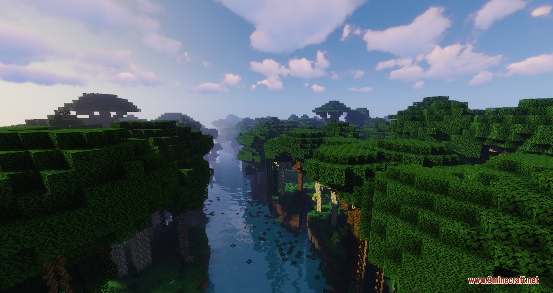 A calm river with lily pads flows through a lush swamp forest