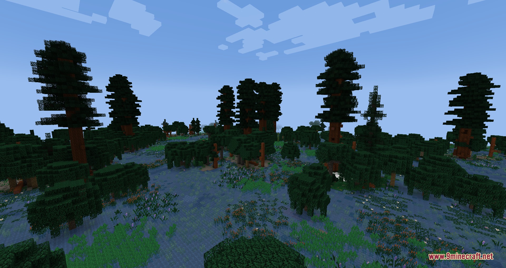 Tall dark trees tower over a field of flowers in a dense forest