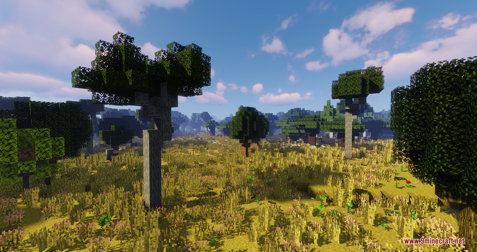 Diverse tree species growing across a lush meadow under a clear sky