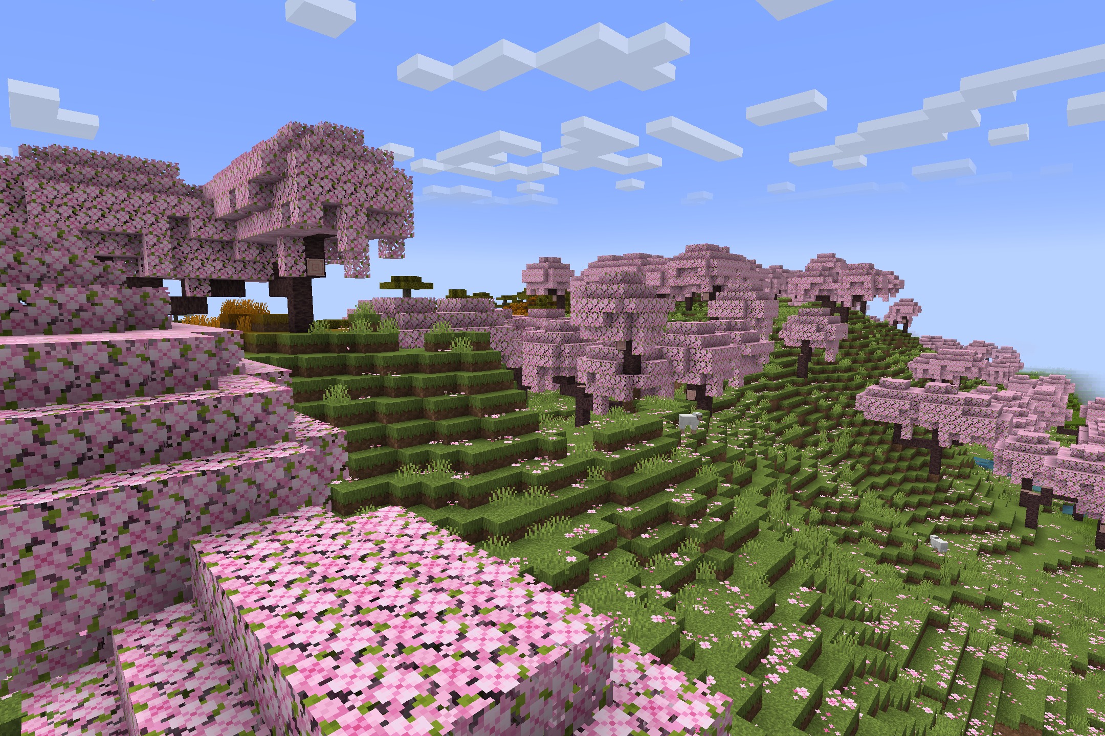 Tazko’s Fresh Textures Resource Pack Screenshot 1 Vibrant cherry blossom trees and pink petals scattered across a lush green hill