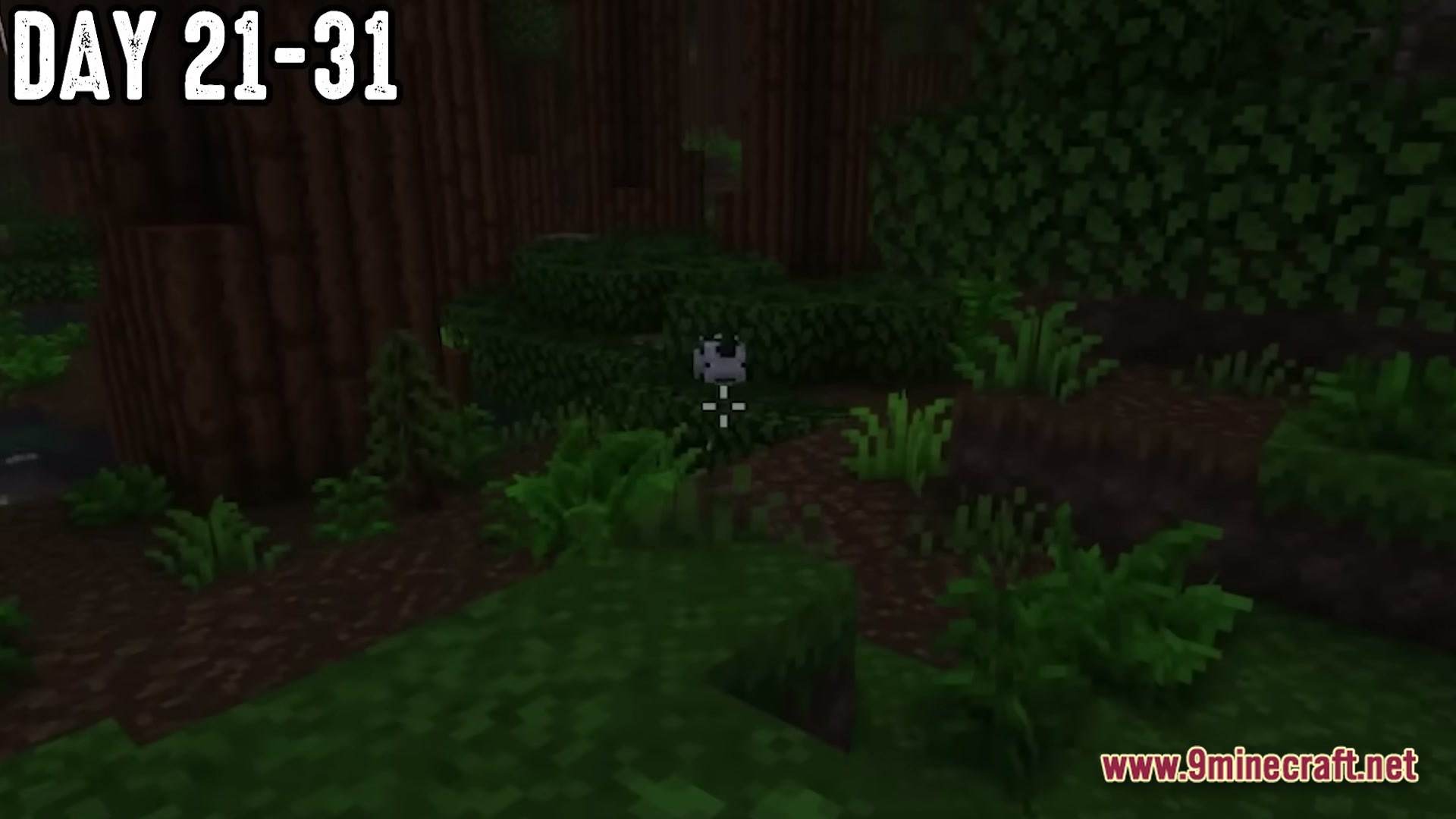 The Fungal Infection Co Op Base Defense Modpack Screenshot 3 A lone cow stands amidst a dense forest biome during the survival progression of days 21-31