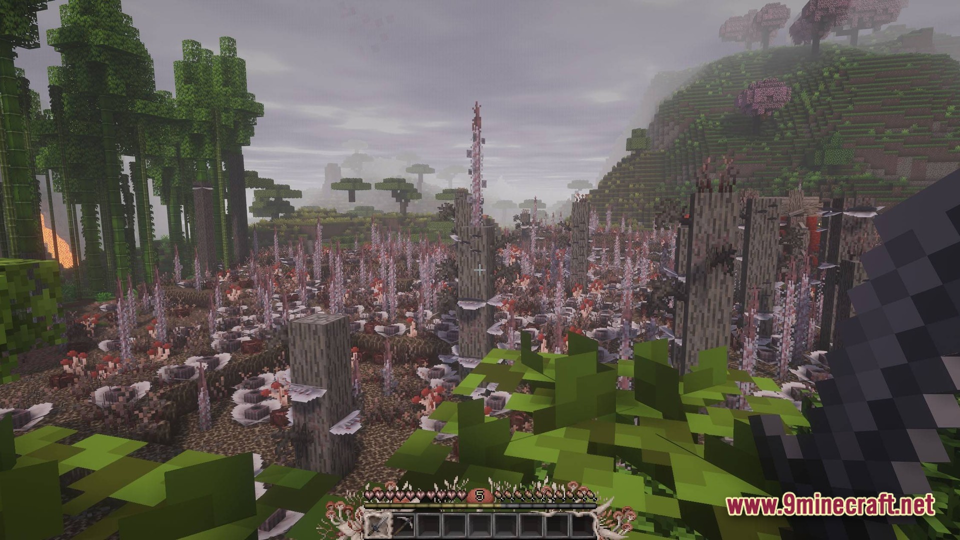 The Fungal Infection Co Op Base Defense Modpack Screenshot 9 A vast field of fungal growths and infected trees spreads across a foggy Minecraft landscape