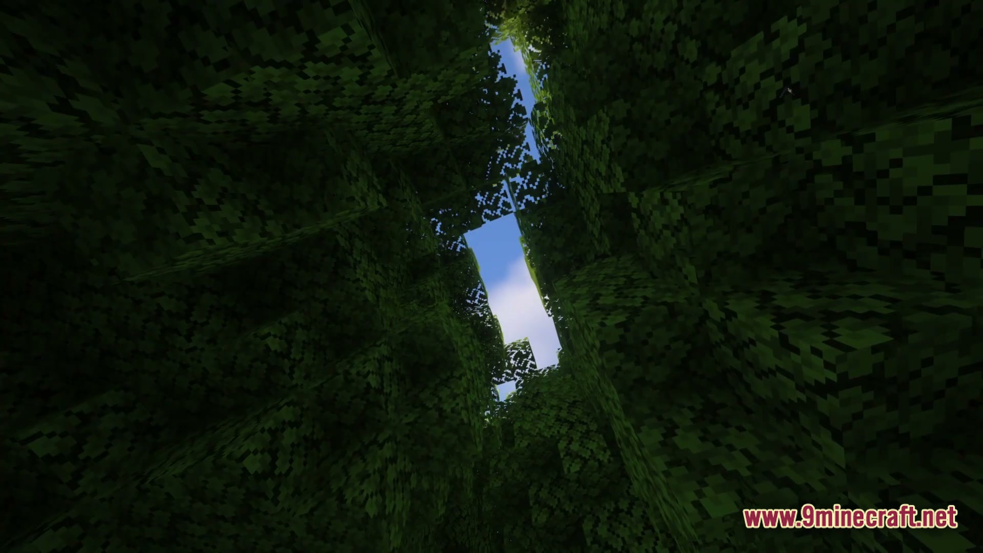 The Maze Runner MAZE! Map Screenshot 3
