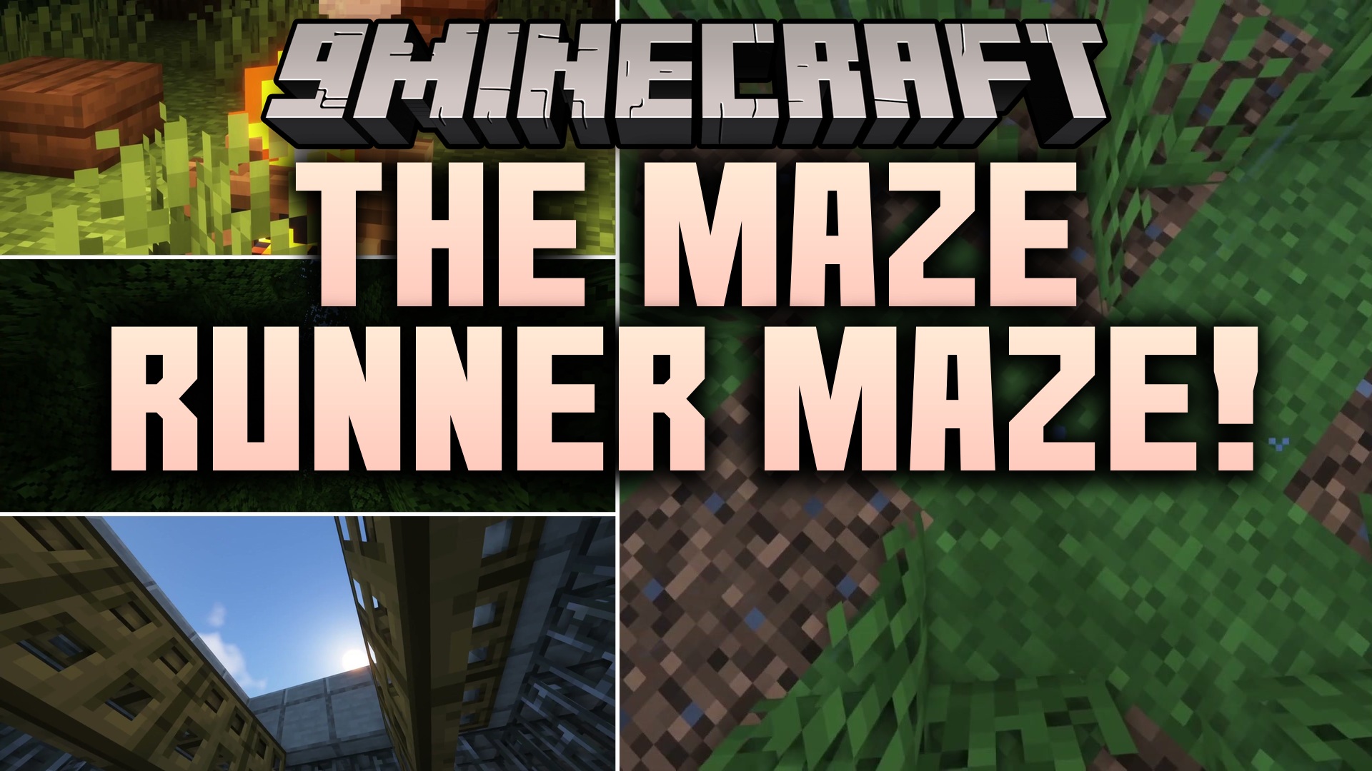 The Maze Runner MAZE! Map