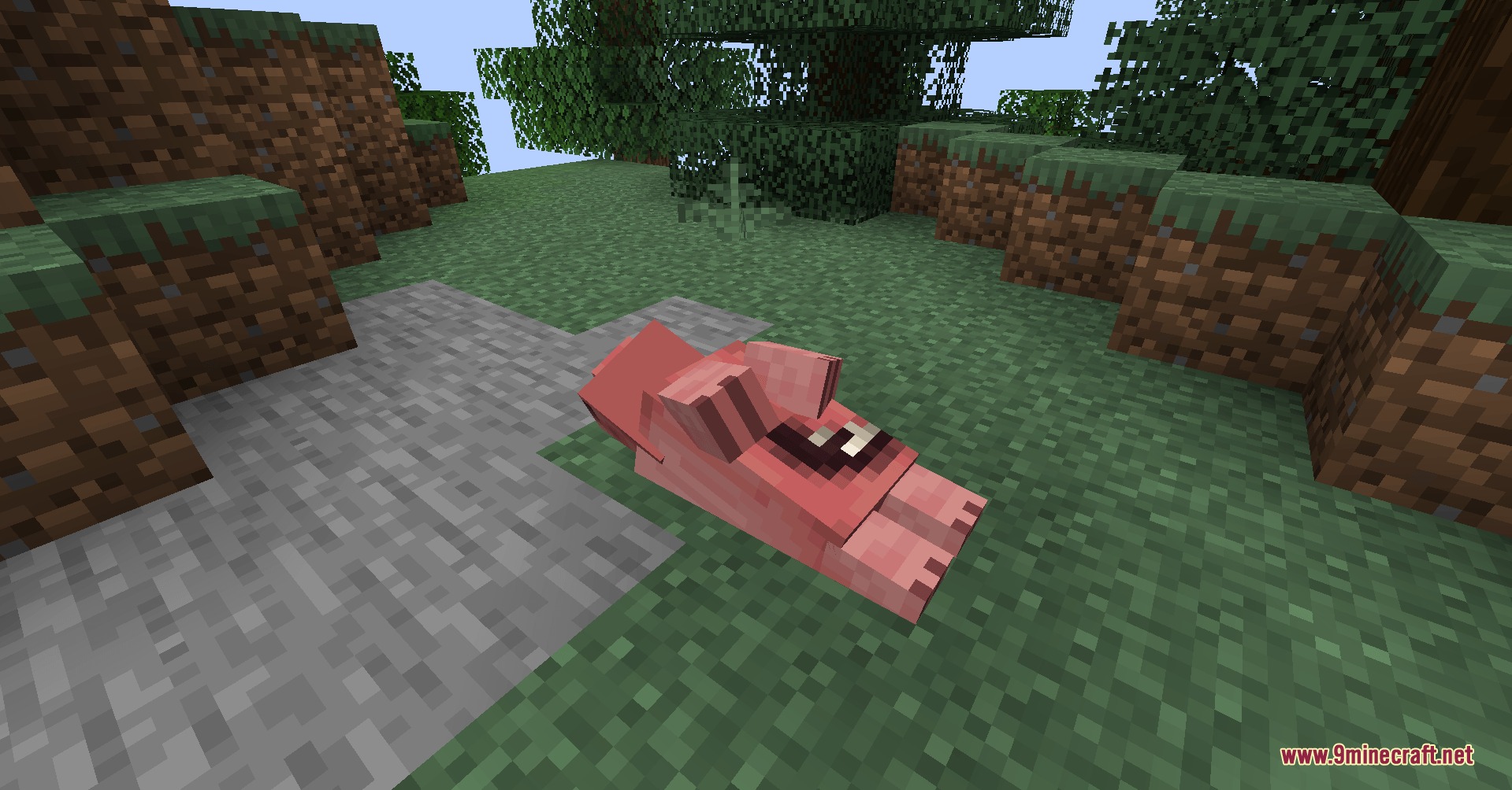 The Rake the Nightmare of the Forest Mod Screenshot 6 A dead pig carcass lies on the ground near a forest clearing