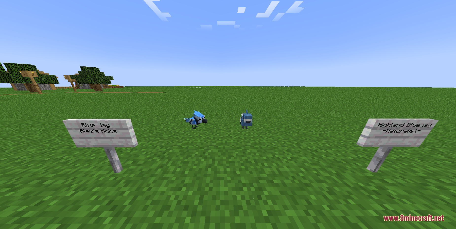 The Rename Compat Project Over 300 Mods Supported Resource Pack Screenshot 6 Two blue jay mobs standing on grass with signs identifying their mods
